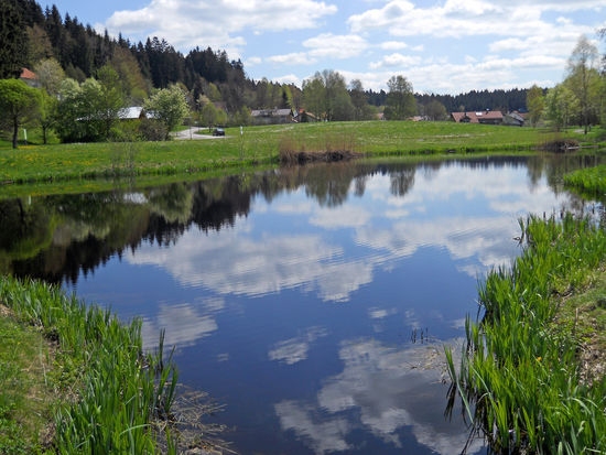 Moorsee in der "Nassen Aue" - Kurpark Spiegelau - Beginn der Wanderung