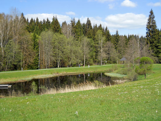 "Nasse Aue" - Moorsee im Kur-/Gemeindepark Spiegelau