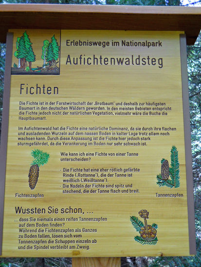 Wieder eine Hinweistafel am Aufichtensteg im Nationalpark Bayerischer Wald - Spiegelau (Niederbayern). Die Infos sind gut lesbar angebracht.