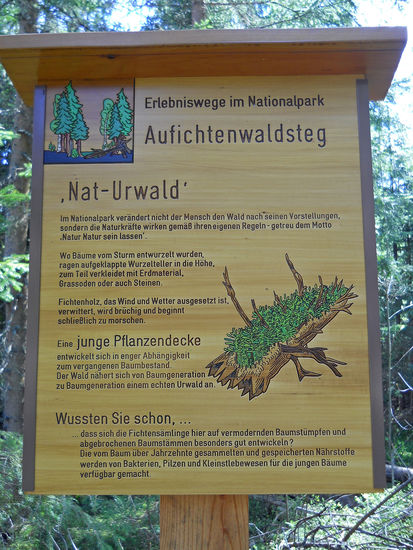 Info-Tafel am Aufichtensteg im Nationalpark Bayerischer Wald - Spiegelau. Hier kann man eine Menge lernen.