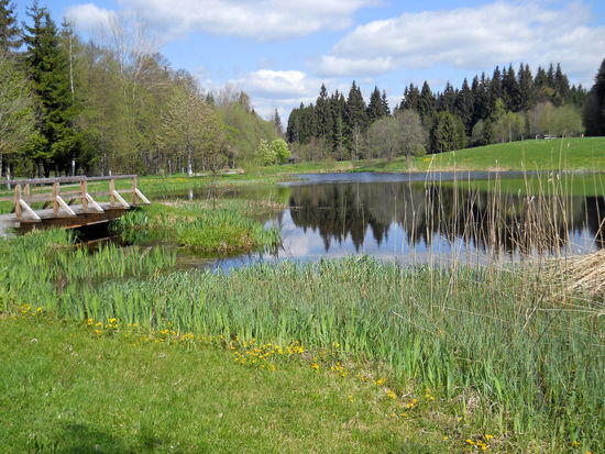 Moorsee im Gemeindepark Spiegelau - Nationalpark Bayerischer Wald