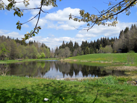 Idyllischer See im Gemeindepark Spiegelau - Nationalpark Bayerischer Wald
