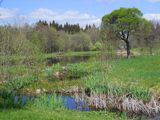 Eine wirklich traumhafte Landschaft, um ein paar Tage zu entspannen - Spiegelau - Nationalpark Bayerischer Wald.