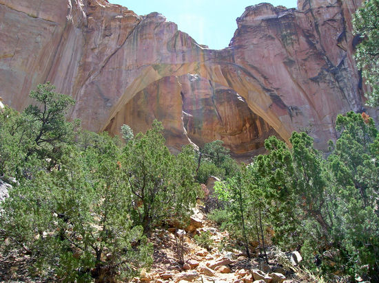 Durch die Acoma Indianer Reservation gelangen wir zum La Ventana Natural Arch, ein durch die Witterung entstandener Sandsteinbogen aus der Zeit der Dinosaurier mit einer Spannweite von 41 Metern und damit der zweitgrößte natürliche Bogen New Mexicos. Die Cebolla Wilderness, ca. 60.000 acres groß (1 acre = 4.047 m²), Land, welches die Natur beherrscht und nicht der Mensch. Gefundene Petroglyhen erzählen Geschichten von früherer menschlicher Existenz in dieser Gegend.