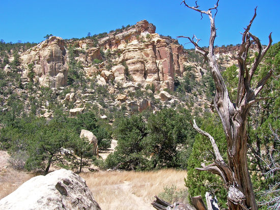 HW 117 durch die Cebolla Mountains und Wilderness im El Malpais National Park.  El Malpais NP ist ein Gebiet mit erloschenen Vulkanen und erkalteten Lavafeldern. 
El Malpais - schlechtes Land oder schlechte Straße - weist auf das durch zerklüftete Lavaströme entstandene Landschaftsbild des Parkes hin. Der einzige Pfad durch das Lavafeld ist der ca. 11 km lange Zuni-Acoma-Trail, ein alter Indianerpfad, der die Pueblos der Zuni und Acoma miteinander verband.