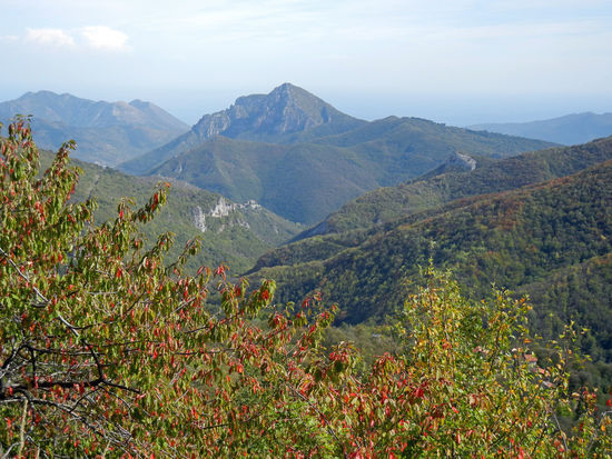 Die Ligurischen Alpen bilden das Ende des Alpenbogens, der nach einer Senke westlich von Genua in den Ligurischen Apennin übergeht. Sie bilden eine klimatische Scheide zwischen Poebene und der italienischen Riviera.