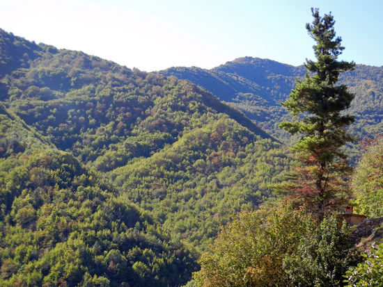 Dann geht es über eine noch kurvigere, extrem enge Straße - 563 - Richtung Rezzo