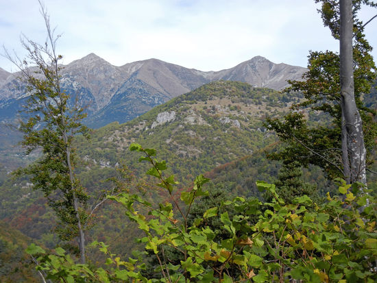 Colle San Bernado di Mendatica, 1.263 m