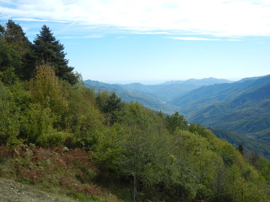 Colle San Bernado di Mendatica, 1.263 m