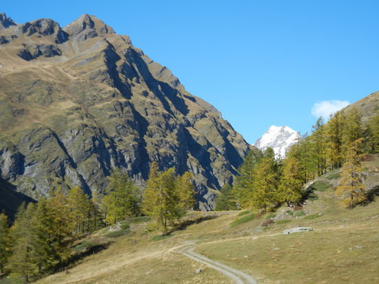 Auf der Straße zum Kleinen St. Bernhard Pass - Der Kleine St. Bernard Pass ist ein Pass in den Grajischen Alpen, der das Isere-Tal (Savoyen) mit dem Aosta-Tal (Piemont) verbindet. Schon die Römer nutzen im Alterum diesen Übergang. Napoleon III. hat die Passstraße erbaut.