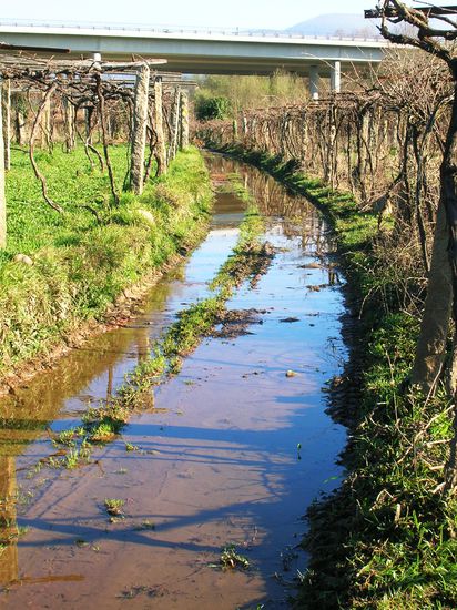 Der Weg kurz nach Ponte de Lima, dem Rolf seinen Abbruch zu verdanken hatte