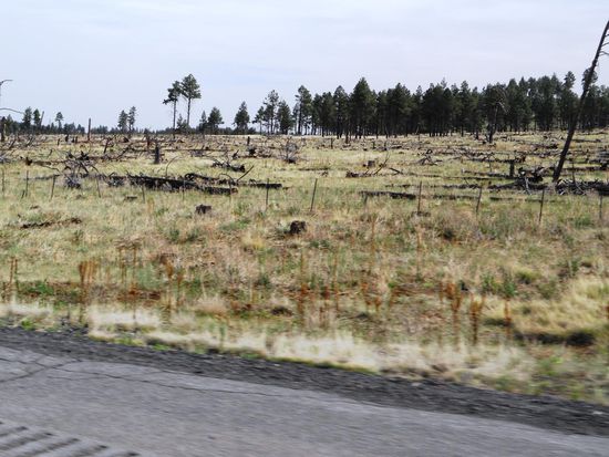 Auf dem Weg zum Grand Canyon