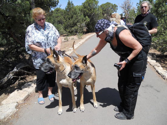 Doris die Hundeflüsterin - South Rim Grand Canyon