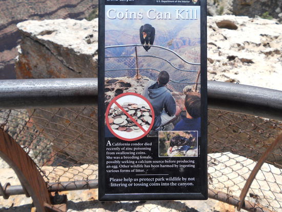 Leider wird das meist nicht beachtet ...