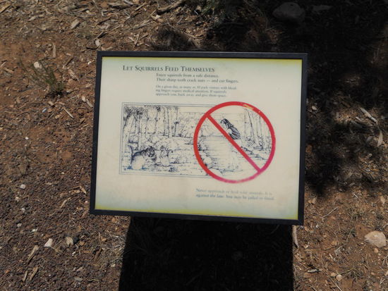 Schilder über Schilder, nur die meisten übersehen sie, leider