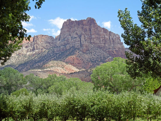 Landschaft bei Springdale