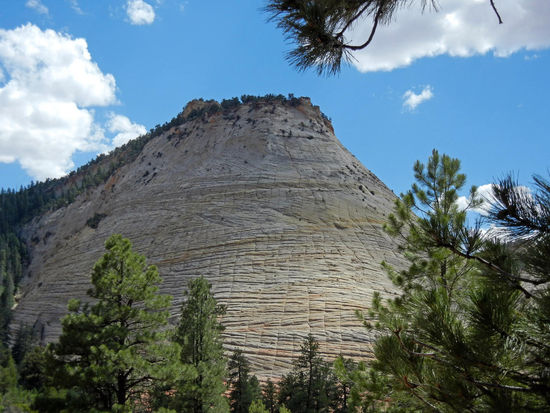 Checkerboard Mesa - Zion NP