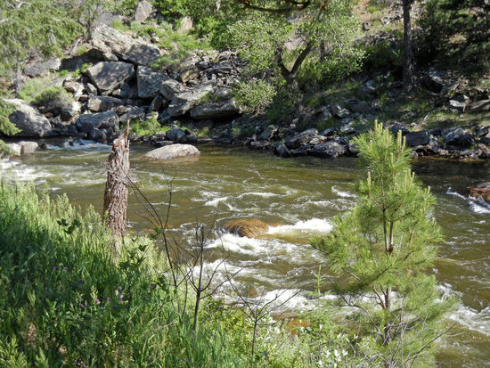Cache La Poudre River Canyon - HW 14 West
