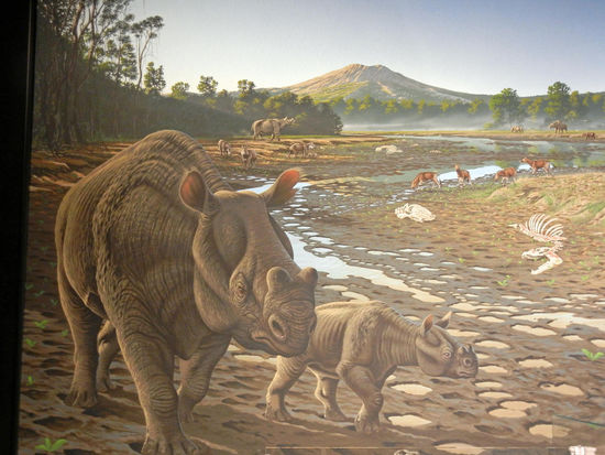 Thomas Condon Paleontology Center