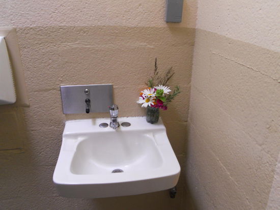 Blumengeschmückte Damentoilette am Haltepunkt Dismal Nitch