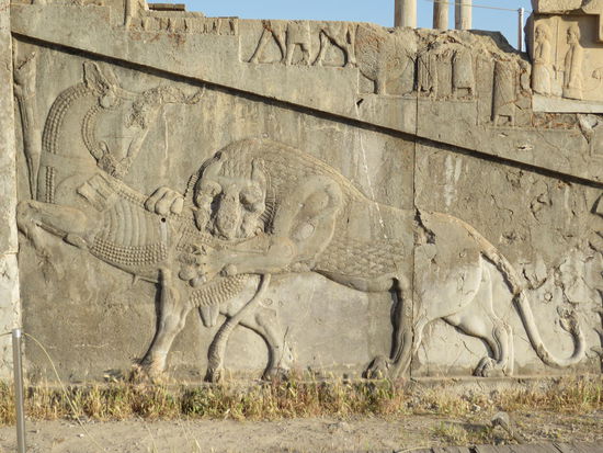 Durch den südlichen Ausgang des Tors aller Länder beginnt der Rundgang, der an dem Wasserbecken vorbei zur Nordseite des Apadana-Palastes führt. Der Palast steht auf einem 2,6 m hohen Sockel und misst 112 Meter im Quadrat. Die zentrale Halle des Apadana, deren Fas-sungsvermögen bis zu 10.000 Personen betrug, war 60 x 60 m groß, ausgestattet mit 36 Säulen von knapp 20 m Höhe. Hier in der zentralen Halle empfing der König die Besucher. Den Höfen im Norden, Westen und Osten waren Vorhallen mit je 12 Säulen zugewandt, zu denen an den Nord- und Ostseiten doppelte, gegeneinander laufende Freitreppen führten. Man findet hier ein Relief, wie ein Löwe einen Stier angreift.