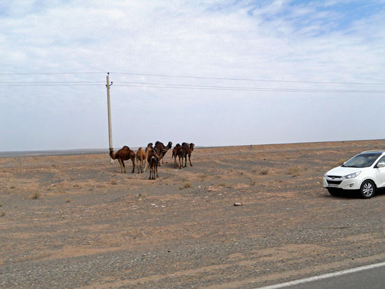 Wüstenstraße durch die Wüste Dasht-e Kavir - Die Gegend ist mehr als einsam.