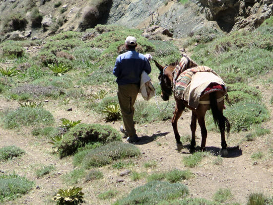 Nomade im Alamut Tal