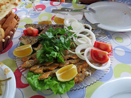 Frischer geht es nicht ...