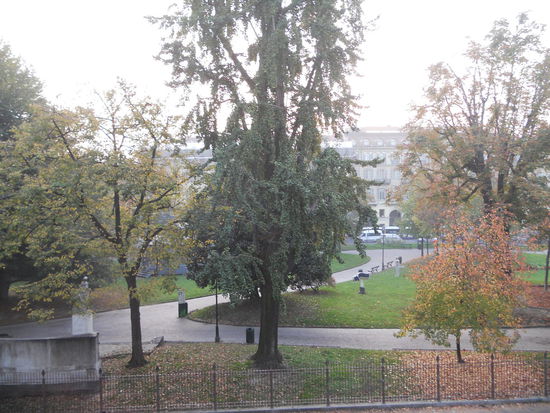 Blick vom Hotelzimmer auf den Park