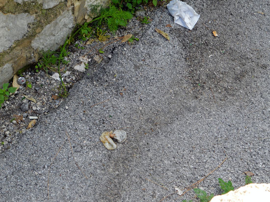 Was sich da so alles findet 