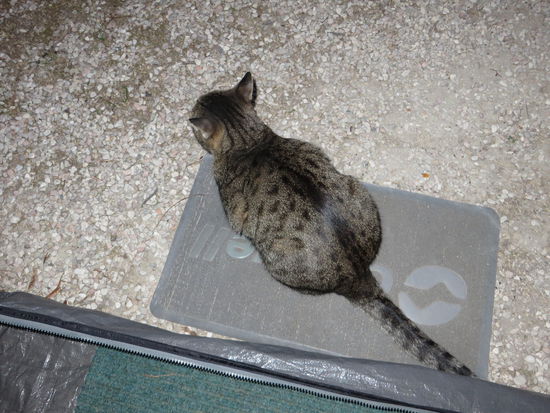 Gut gespeist ... mal sehen, was noch kommt