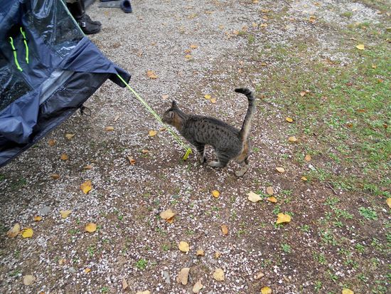 Alles wird untersucht