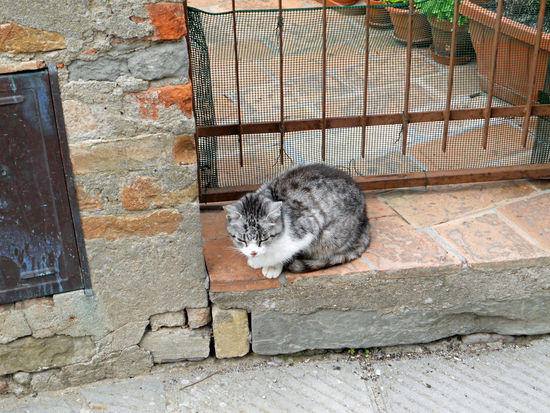 Passignano sul Trasimeno