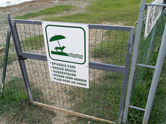 Am Campingplatz gibt es sogar einen Hundestrand