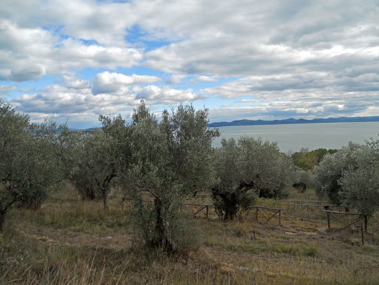Der Lago di Trasimeno kommt in Sicht