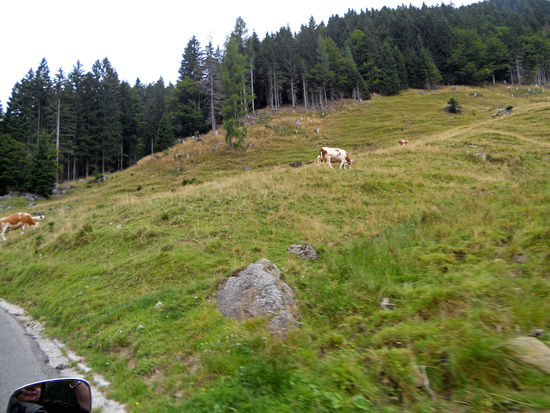 Auf dem Weg zum Passo Pramollo