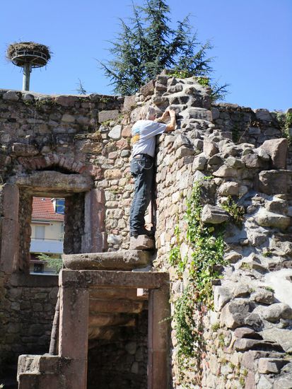 Munster - Ruinen der ehemaligen Benediktiner-Abtei - Rolf kraxelt herum