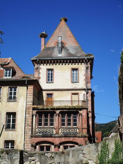 Munster - viele Storchennester auf einem alten Herrenhaus