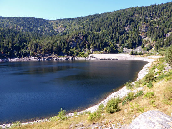 Lac Noir – kurzer Halt. Der See ist von einer wilden Wald-Landschaft umgeben.