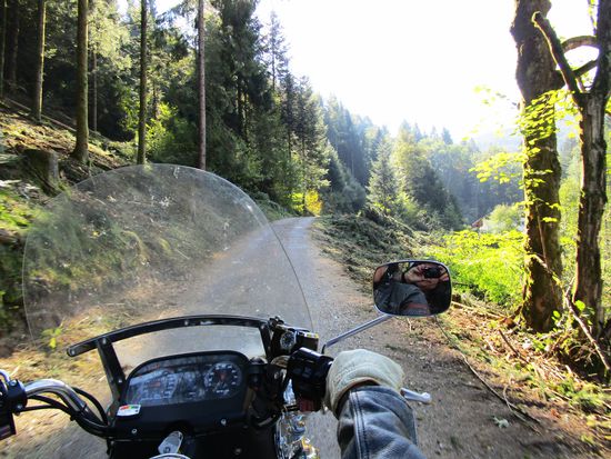 Bald biegen wir ab auf einen kleinen schmalen asphaltierten Waldweg mit 15 % Steigung. Abenteuerlich. Gott sei Dank kommt uns nur einmal ein Auto entgegen. Ich bin fix und fertig. In diesem einsamen Wald finden sich nur wenige bewohnte Häuser.