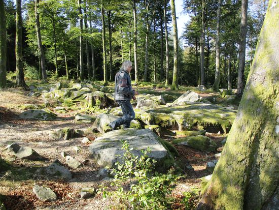 Roc du Plainet ist der Rest einer Gletschermoräne auf dem Gipfel des Mont de Vannes. Hier hat man einen Panoramablick von fast 360 Grad. Die Legende erzählt, dass das Gestein des Berges Frauen fruchtbar macht. Im Sommer 1944 war Mont de Vannes ein Ort des Widerstandes der Franzosen gegen die deutschen Besatzer.