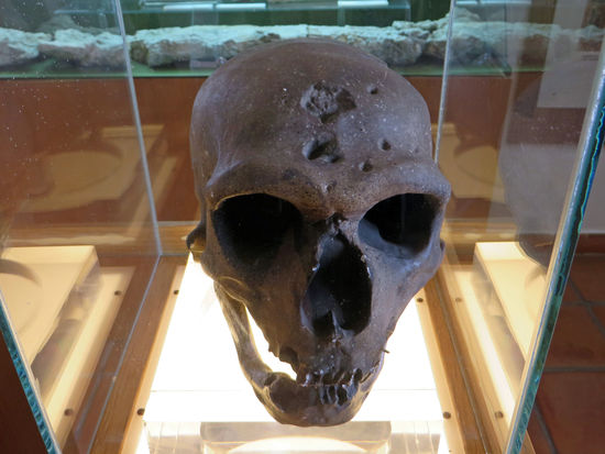 Museo Comarcal Velezano (Centre de Interpretacion El Arte y su Tiempo)