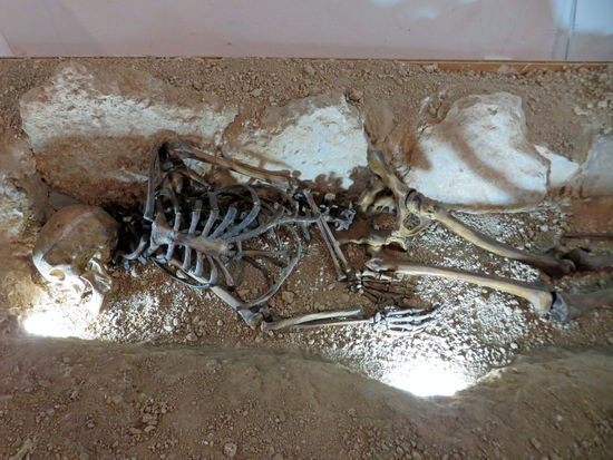 Museo Comarcal Velezano (Centre de Interpretacion El Arte y su Tiempo)