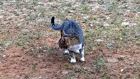 Campigplatz Maria, Los Velez Natural Park - sie kam oft zu Besuch