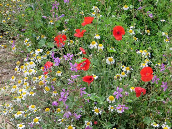Campigplatz Maria, Los Velez Natural Park