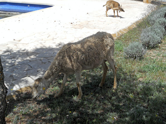 Campigplatz Maria, Los Velez Natural Park
