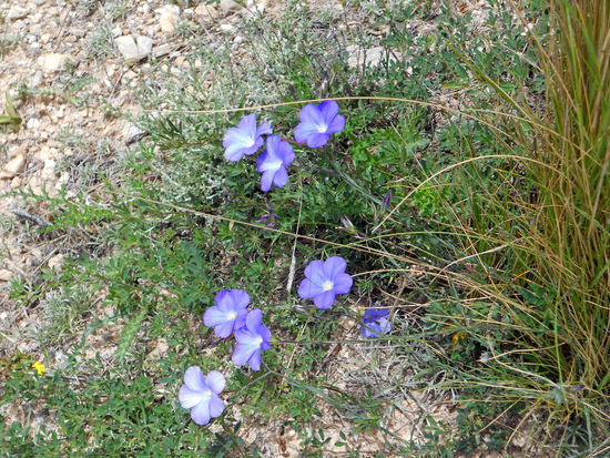 Campigplatz Maria, Los Velez Natural Park
