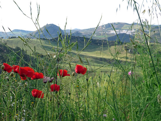 Blick von unserem Platz auf dem Campingplatz