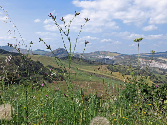 Blick von unserem Campingplatz