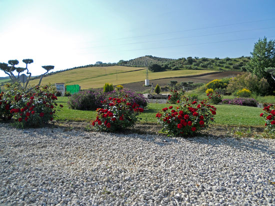 Einfahrt Campingplatz